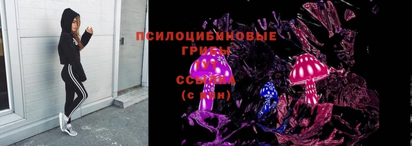 винт Каменногорск
