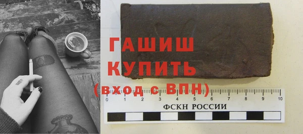 apvp Каменка