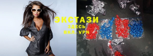 apvp Каменка