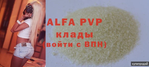 apvp Каменка