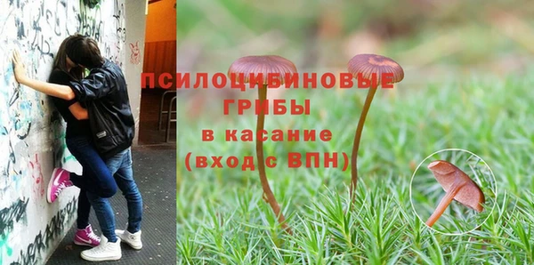 apvp Каменка