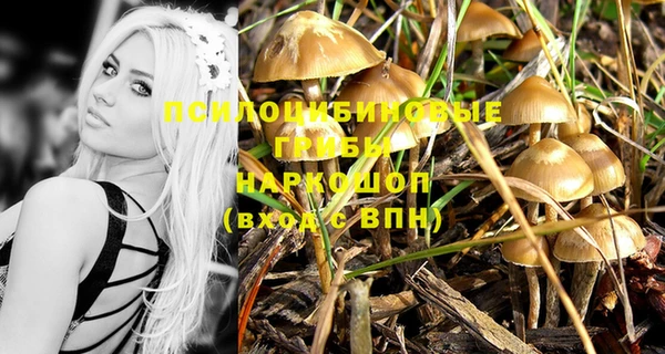 винт Каменногорск