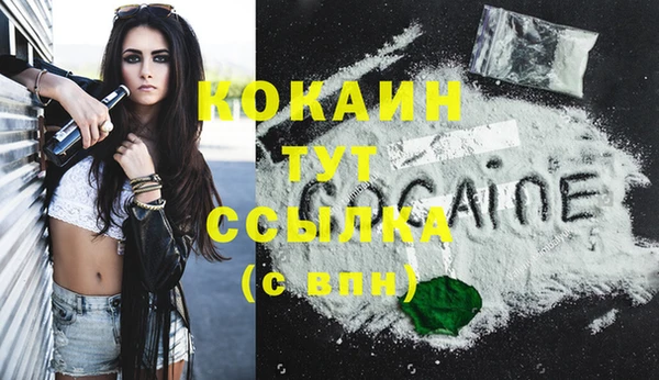 apvp Каменка