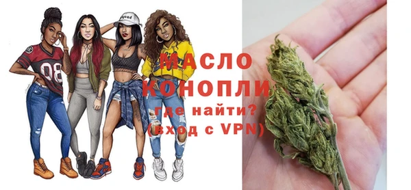 apvp Каменка