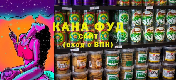 apvp Каменка